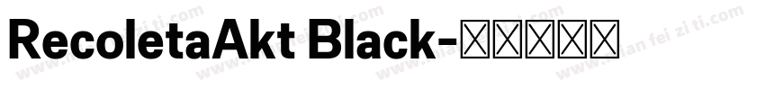 RecoletaAkt Black字体转换